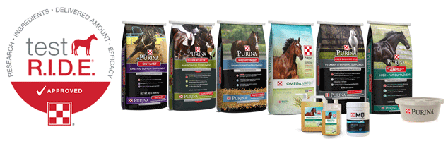 Horse test ride supplement image