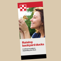 Image of Guide to Raising Ducks brochure