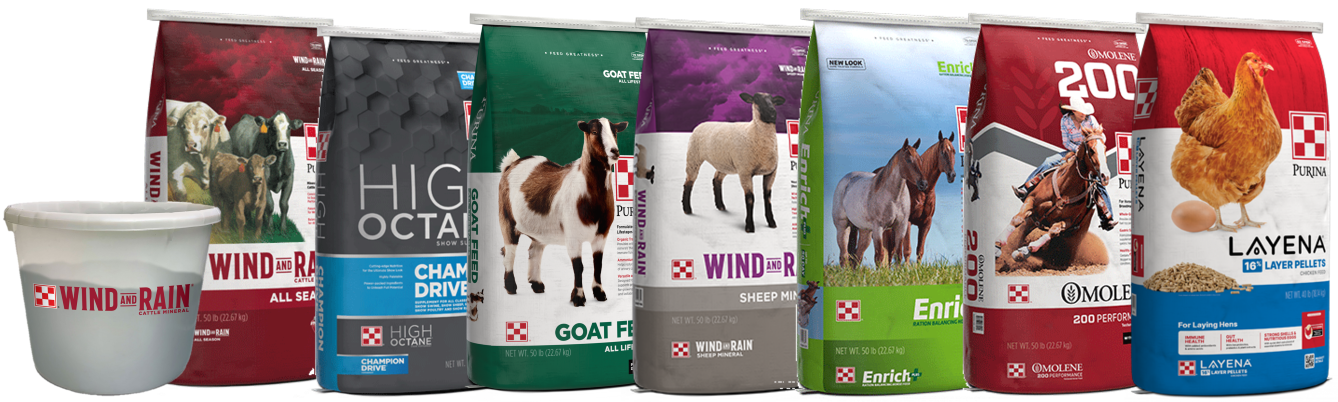 Image of different specie feed packages