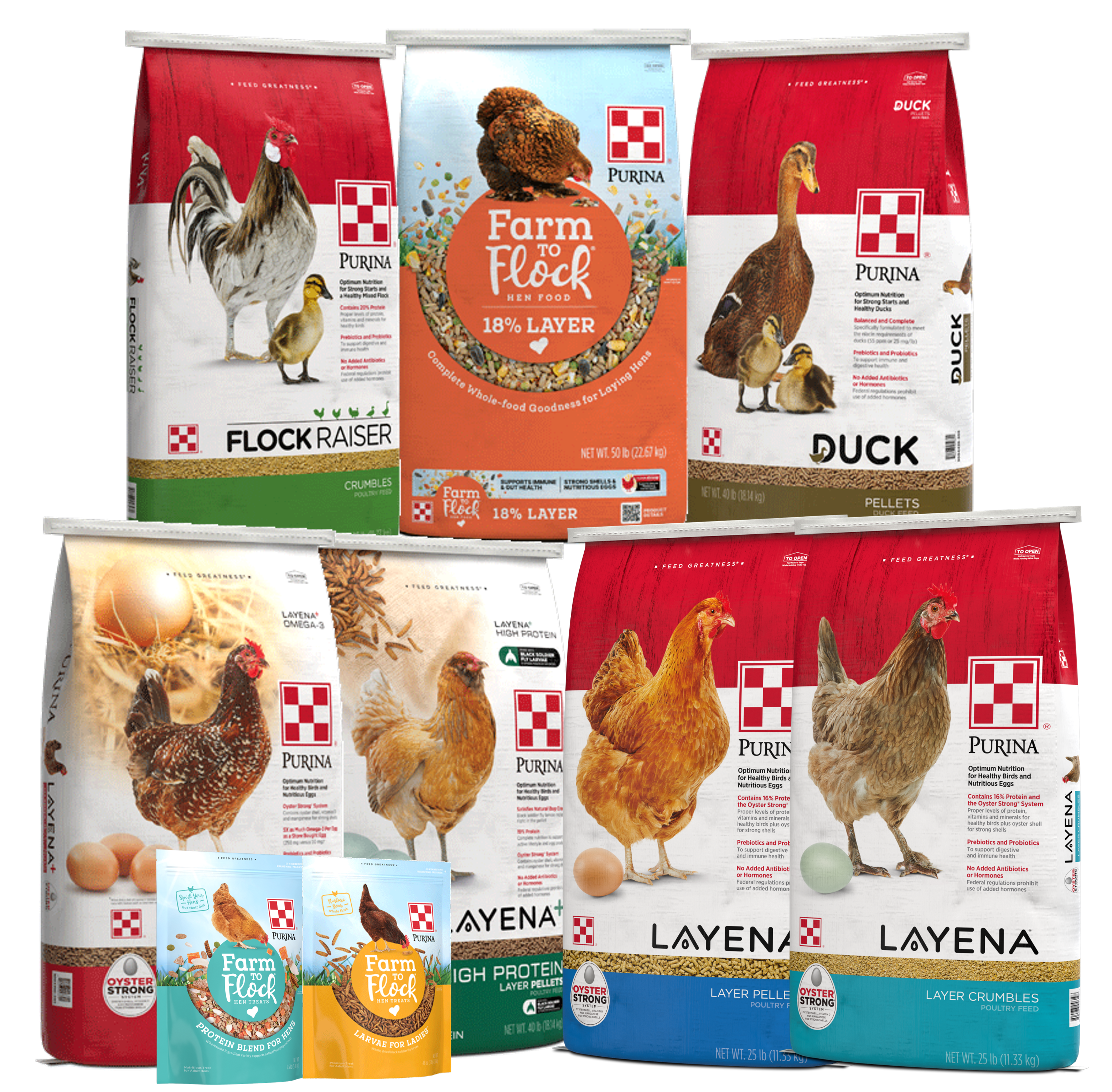 Flock Feed Packaging