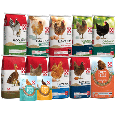 Flock Feed Packaging