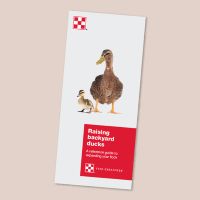 Image of Guide to Raising Ducks brochure